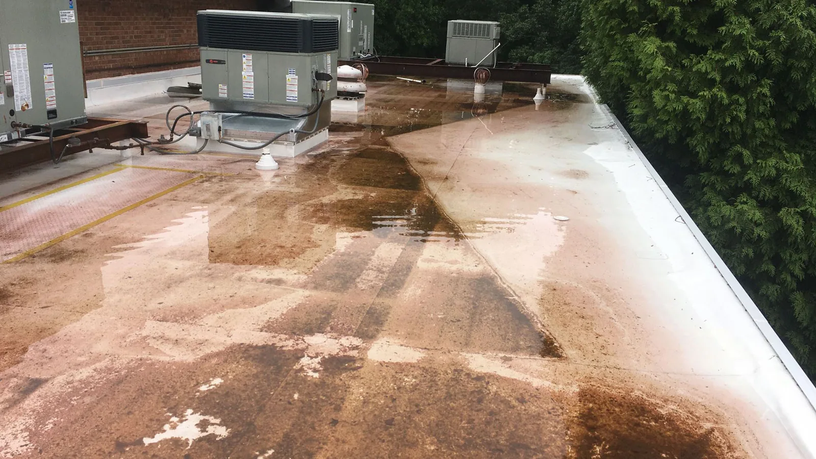 Ponding Water Roof Repair in Staten Island, NY